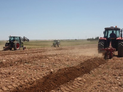 Concurso Arada