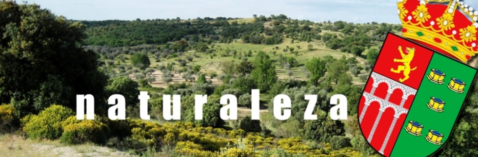 naturaleza1